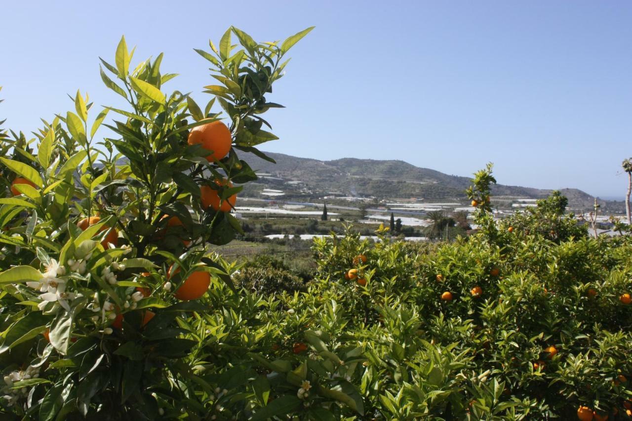 Cortijo Del Sidi Villa Motril Exterior photo